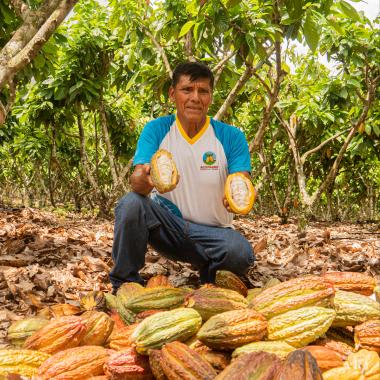 Peru-Arbeiter-Kakaobohne